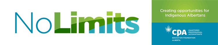 No Limits logo