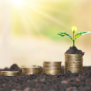 Four groups of coins stacked in soil standing in order of shortest to tallest. The tallest stack has a small plant sprouting from it.